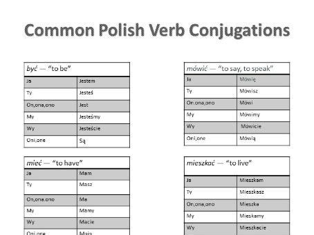 20 Common Polish Verb Conjugations Present Tense Teaching Resources
