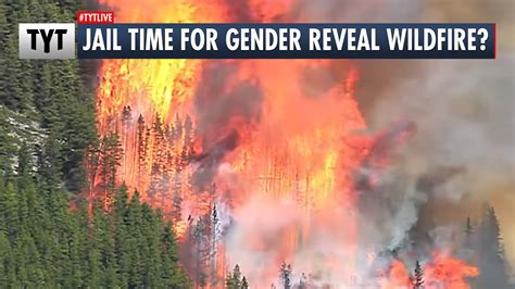 Gender Reveal Wildfire Sparks Criminal Charges Lukewarm Takes