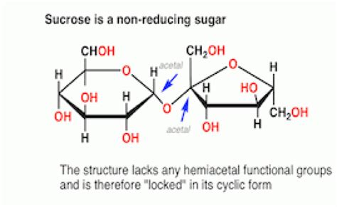 Reducing Vs Non Reducing Sugar Definition 9 Key Differences Examples