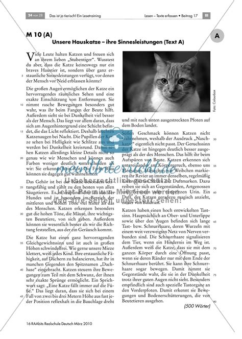 Sachtexte klasse 6 zum ausdrucken. Leseübungen anhand von Sachtexten über Tiere: Thema Hauskatzen - meinUnterricht