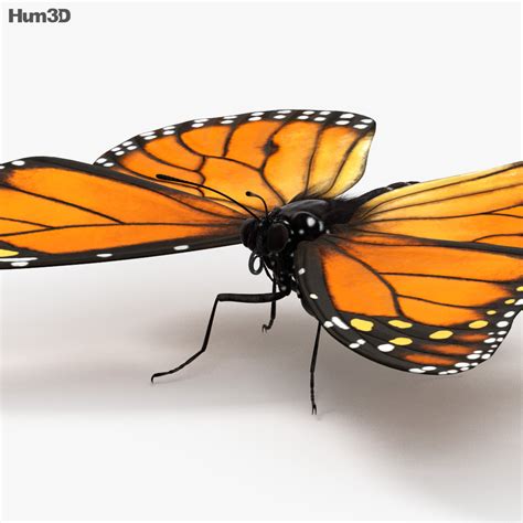 Monarch Butterfly Print Ready 3d Model Download Animals On