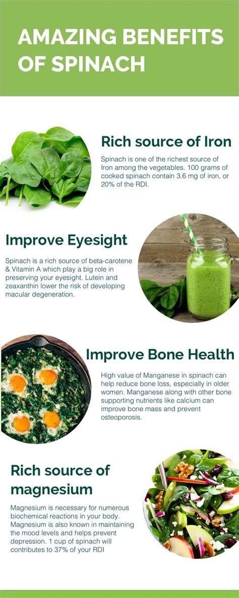 Learn About These Amazing Benefits Of Spinach Forruneats