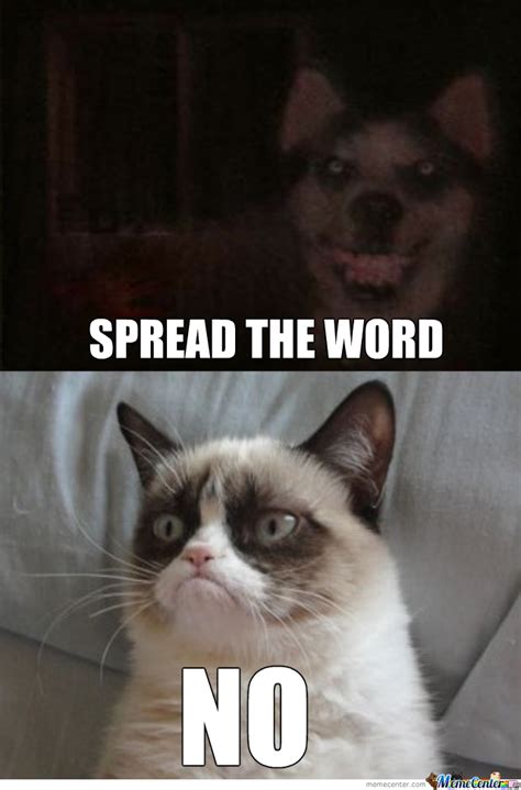 Smiledog Vs Grumpy Cat Grumpy Cat Know Your Meme