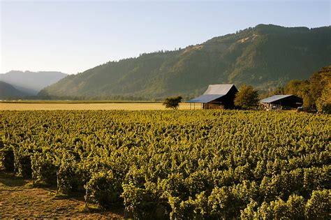 Henry Estate Winery Vineyards Umpqua Valley Oregon