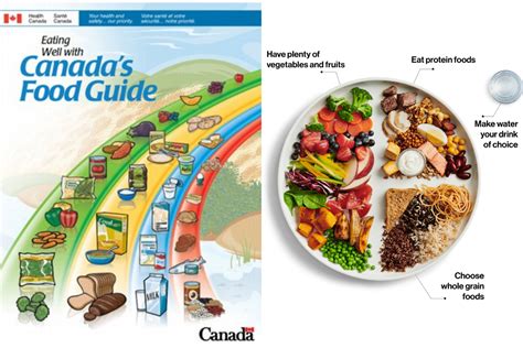 Good tour guide 15 january 2020. What I Think of Canada's New Food Guide | Healthy Eating ...