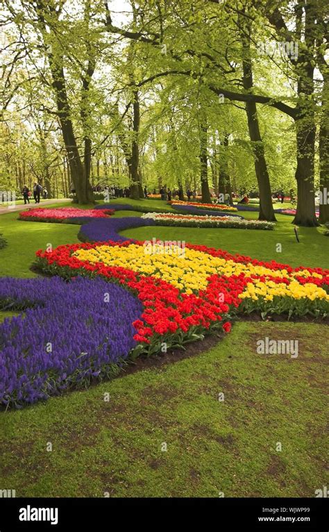 Flowery Field Of Different Kinds Of Flowers In Spring In The Exhibition