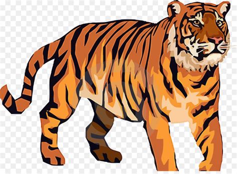 Bengal Tiger Cartoon Pictures