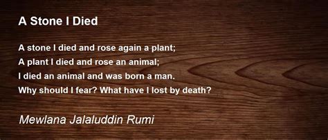 A Stone I Died Poem By Mewlana Jalaluddin Rumi Poem Hunter