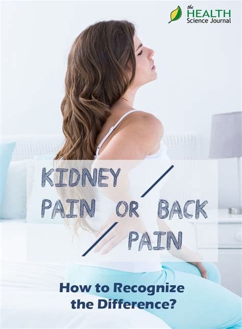 Back Pain Or Kidney Pain How To Recognize The Difference The Health