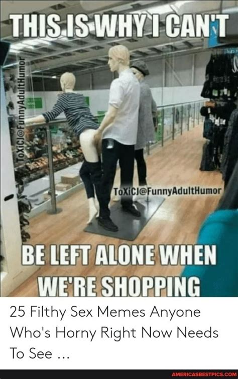 ant be left alone when wereshopping 25 filthy sex memes anyone who s horny right now needs to