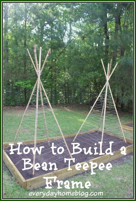 How To Build A Bean Teepee Frame The Everyday Home Bean Pole Bean