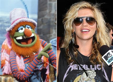 Celebrities Who Look Like Muppets Photos Huffpost