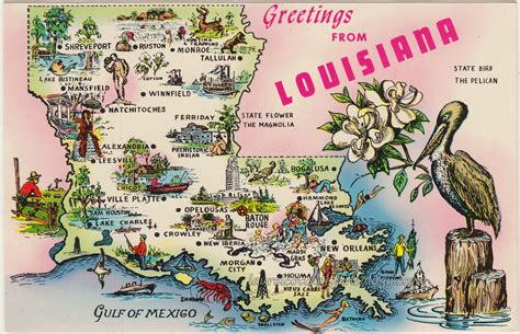 Vintage Louisiana Postcards Laurel Cottage Genealogy