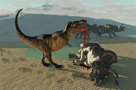 Posterazzi Tyrannosaurus Rex Eats The Flesh Of A Dead Triceratops