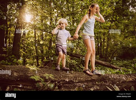Kleine Jungen Und Mädchen Balancieren Auf Umgestürzten Baum Im Wald