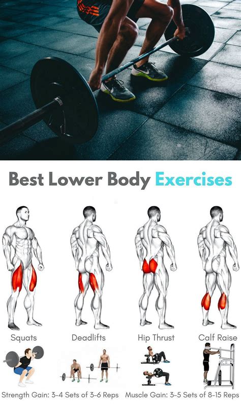 Lower Body Exercise Lower Body Workout Exercise Fun Workouts