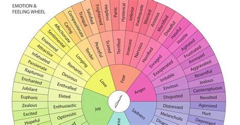 Emotion Wheel In 2020 Emotion Chart Feelings Chart Emotions Wheel Porn Sex Picture