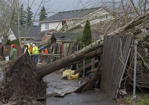 Photos Of The Storm Damage From Across The Pacific Northwest News