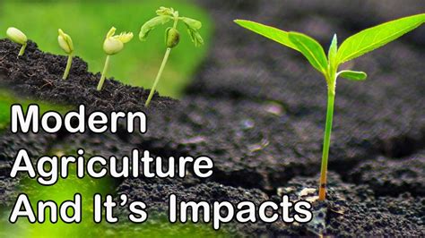 Modern Agriculture And Its Impacts An Overview Of Modern Agriculture