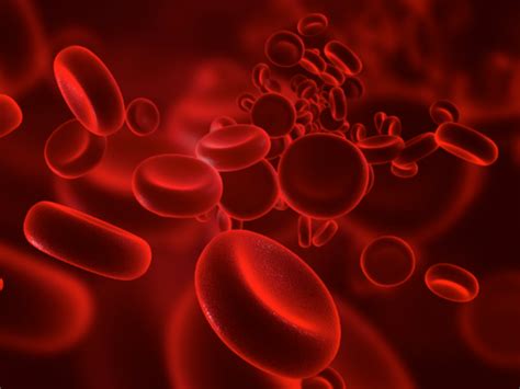 Los 8 Tipos De Anemia Causas Síntomas Y Tratamiento