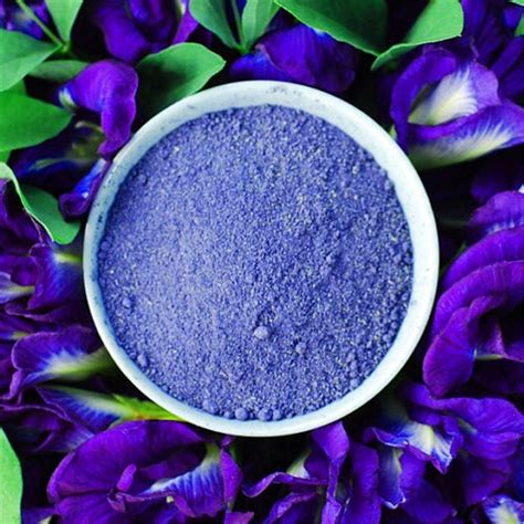 Selain itu, ekstrak tanaman ini juga kerap kali dipakai sebagai pewarna makanan alami.bunga yang memilki nama medis clitoria. 50g - Blue Butterfly Pea Flower Powder / Serbuk Bunga ...