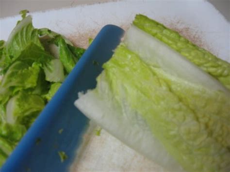 How do you use a salad spinner? How to Use a Salad Spinner to Keep Your Lettuce Crisp