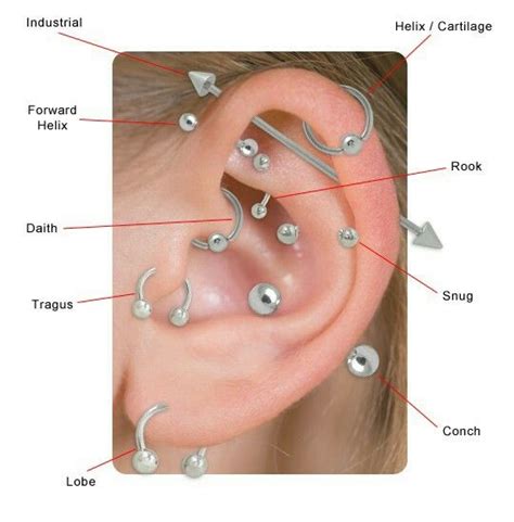 Ear Piercings Map Ear Piercings Chart Body Jewelry Earrings Earings
