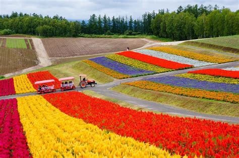 15 Best Things To Do In Hokkaido Japan Wonder Travel Blog