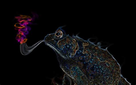 Artistic Psychedelic Frog Animal Wallpaper Psychedelic Desktop