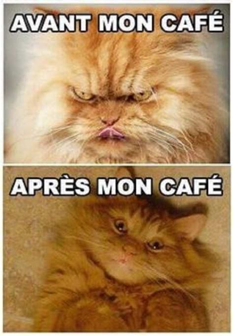 Le Premier Caf Du Matin Ne Peut Pas Tre Consid R Photos Humour