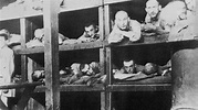 Konzentrationslager: "Alltag" in der Hölle | NDR.de - Geschichte ...