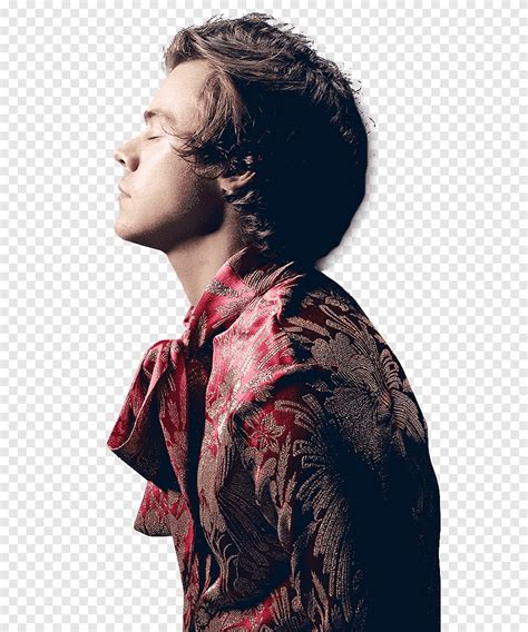 Funny Harry Styles Fine Line Png Harry Styles Png Fine Life Png Harry