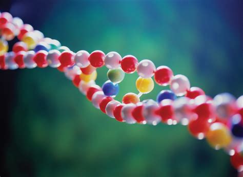 Top 10 Dna Amazing Facts That You Must Know