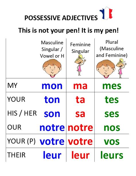 French Lesson Possessive Adjectives Les Adjectifs Possessifs The Best