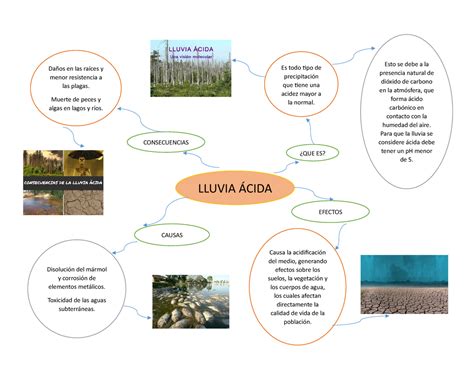 Mapa Conceptual De La Lluvia Acida Geno Images Vrogue Co