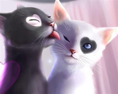 Love Cats Wallpapers Top Free Love Cats Backgrounds Wallpaperaccess