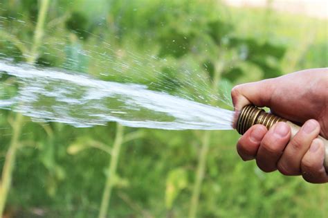 First, learn how much water, in inches, your lawn needs a week. How To Properly Water Lawn With Hose? How Often Should I Water?