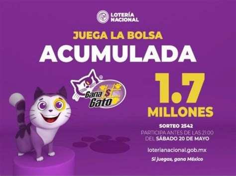 Gana Gato El Nuevo Sorteo De La Lotería Nacional