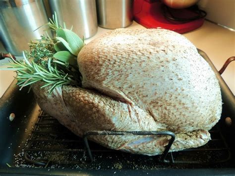the perfect roast turkey bobbi s kozy kitchen