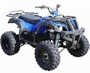 Electric Start Utility ATV 200cc off-Road Vehicle ATV (MDL 200AUG ...