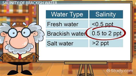 Brackish Water Definition Salinity And Density Video And Lesson