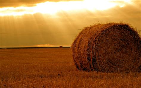 Haystack Wallpaper And Background Image 1600x1001 Id543963
