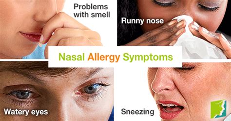 Nasal Allergy Symptoms Menopause Now