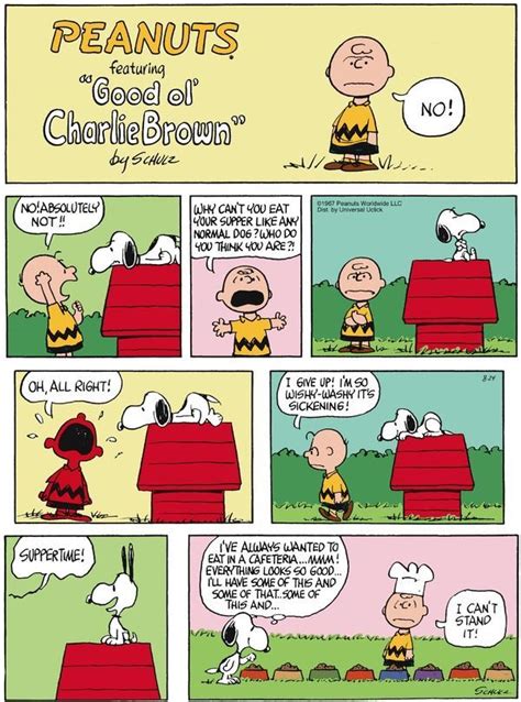 Best Peanuts Comic Strip Peanuts Peanuts Strips Pinterest