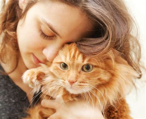 Reasons Why Humans Like Cats And Their Impact On Health Bingkai Karya
