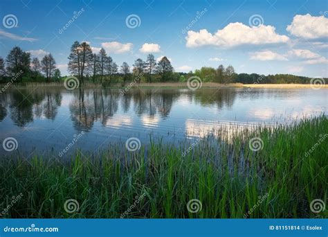 Beautiful Spring Landscape With River Trees And Blue Sky Stock Photo
