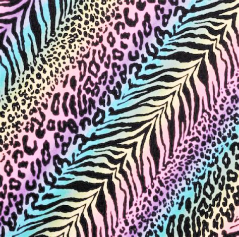 🔥 46 Rainbow Cheetah Wallpaper Wallpapersafari