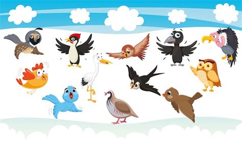 Ilustración Vectorial De Dibujos Animados De Aves Vector Premium