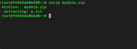Installing And Using Unzip Command To Unzip A Zip File Using Terminal