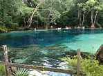 Cypress Springs, Vernon, Florida | Florida springs, Outdoors adventure ...